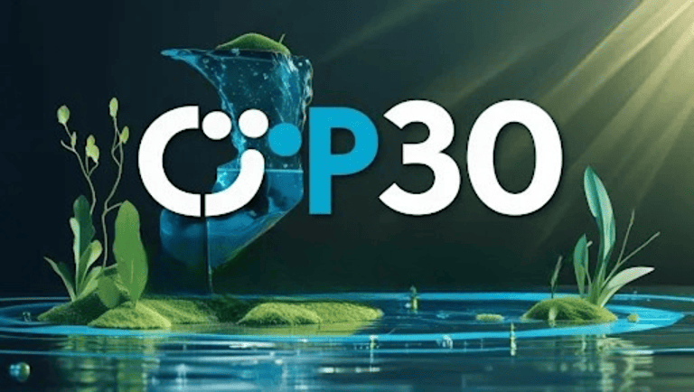 Imagem da atividade COP 30!
