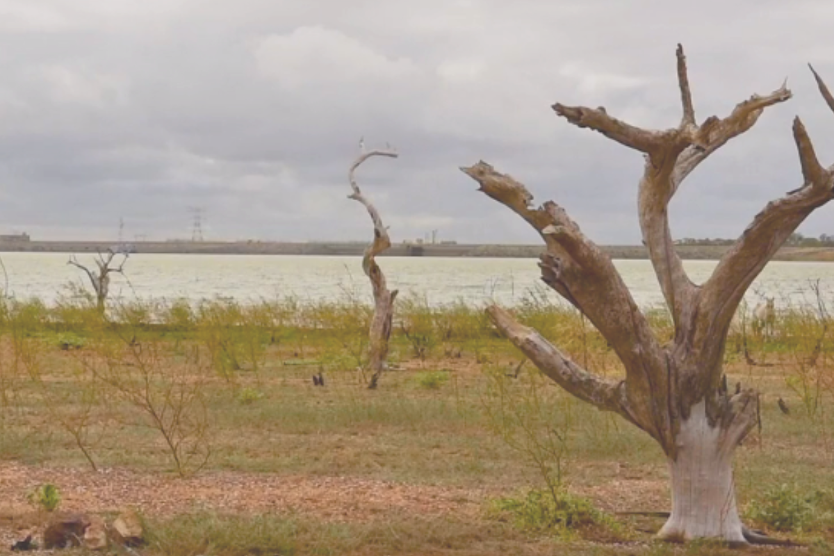 Capa da galeria Custos