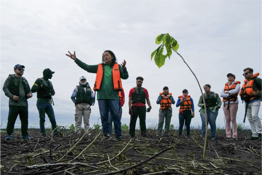 Capa da galeria Mulheres, Água e Histórias